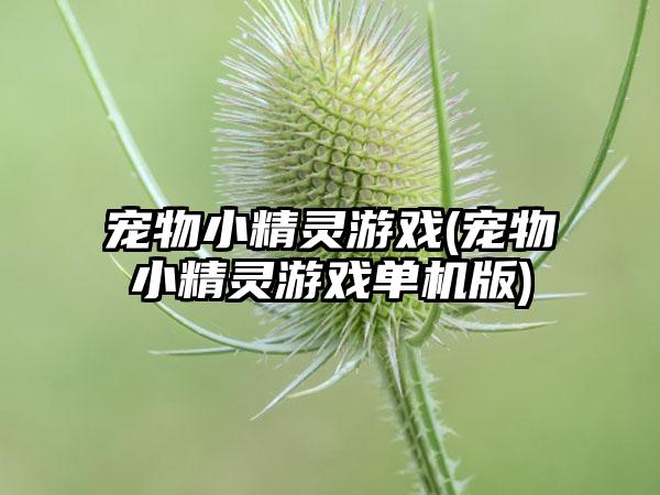 宠物小精灵游戏(宠物小精灵游戏单机版)