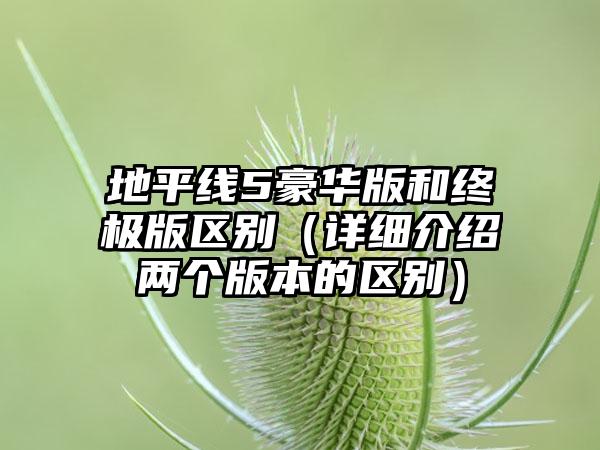 地平线5豪华版和终极版区别（详细介绍两个版本的区别）