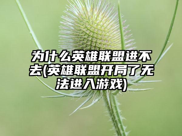 为什么英雄联盟进不去(英雄联盟开局了无法进入游戏)