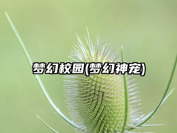 梦幻校园(梦幻神宠)