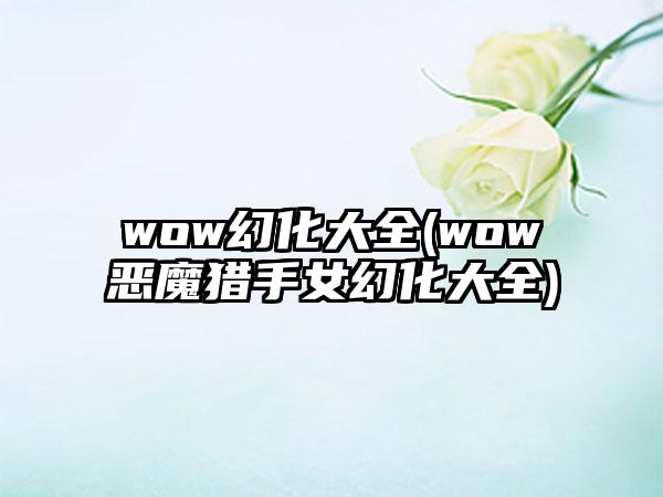 wow幻化大全(wow恶魔猎手女幻化大全)