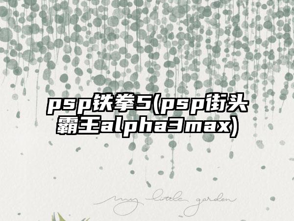 psp铁拳5(psp街头霸王alpha3max)