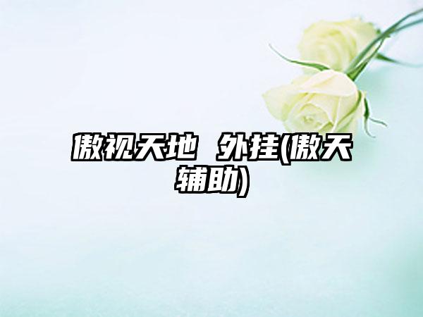 傲视天地 外挂(傲天辅助)