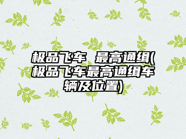 极品飞车 最高通缉(极品飞车最高通缉车辆及位置)