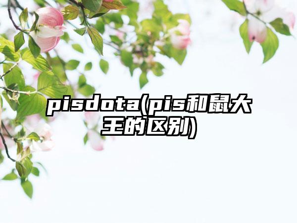 pisdota(pis和鼠大王的区别)