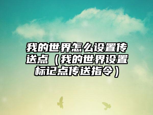 我的世界怎么设置传送点（我的世界设置标记点传送指令）