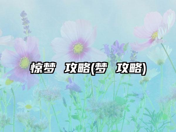 惊梦 攻略(梦 攻略)