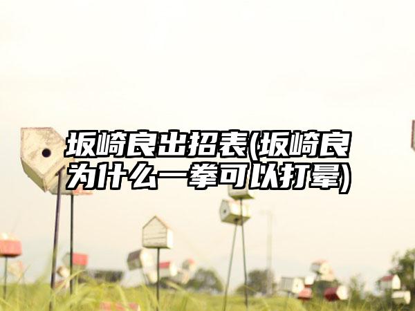 坂崎良出招表(坂崎良为什么一拳可以打晕)