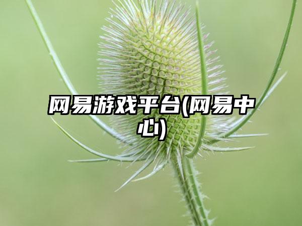 网易游戏平台(网易中心)