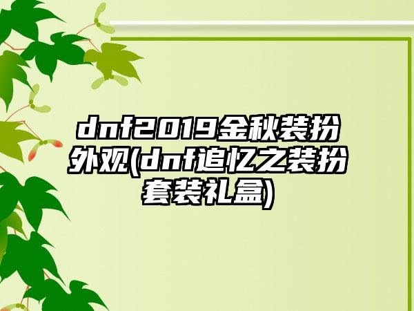 dnf2019金秋装扮外观(dnf追忆之装扮套装礼盒)