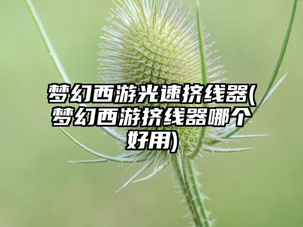 梦幻西游光速挤线器(梦幻西游挤线器哪个好用)