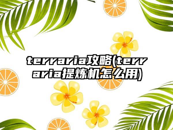 terraria攻略(terraria提炼机怎么用)