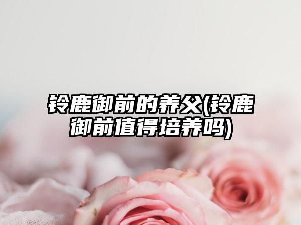 铃鹿御前的养父(铃鹿御前值得培养吗)
