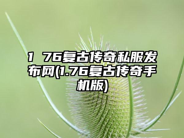 1 76复古传奇私服发布网(1.76复古传奇手机版)