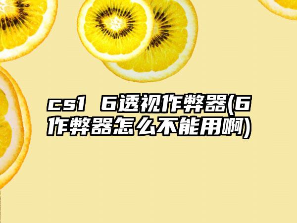 cs1 6透视作弊器(6作弊器怎么不能用啊)