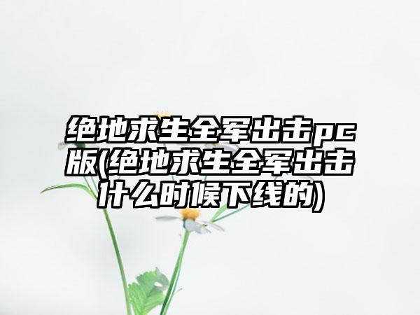 绝地求生全军出击pc版(绝地求生全军出击什么时候下线的)