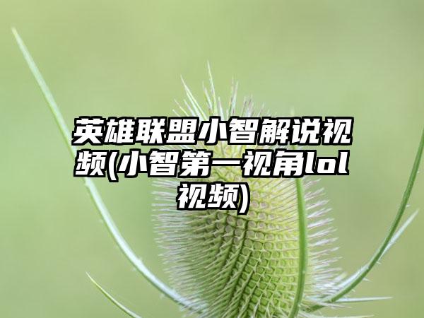 英雄联盟小智解说视频(小智第一视角lol视频)