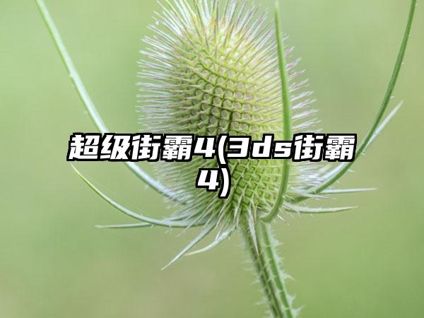 超级街霸4(3ds街霸4)