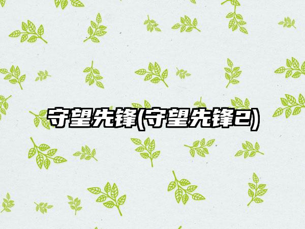 守望先锋(守望先锋2)