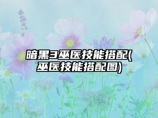暗黑3巫医技能搭配(巫医技能搭配图)