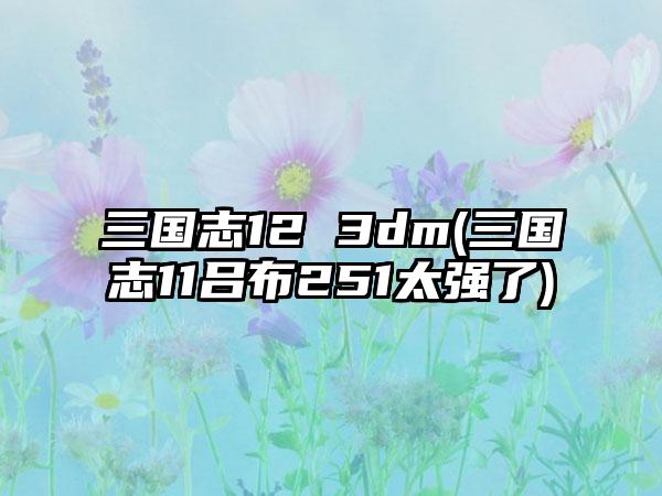 三国志12 3dm(三国志11吕布251太强了)