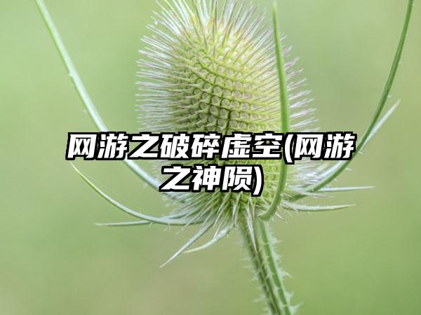 网游之破碎虚空(网游之神陨)