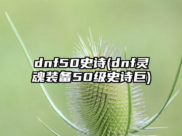 dnf50史诗(dnf灵魂装备50级史诗巨)