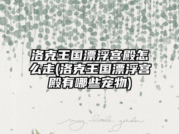 洛克王国漂浮宫殿怎么走(洛克王国漂浮宫殿有哪些宠物)