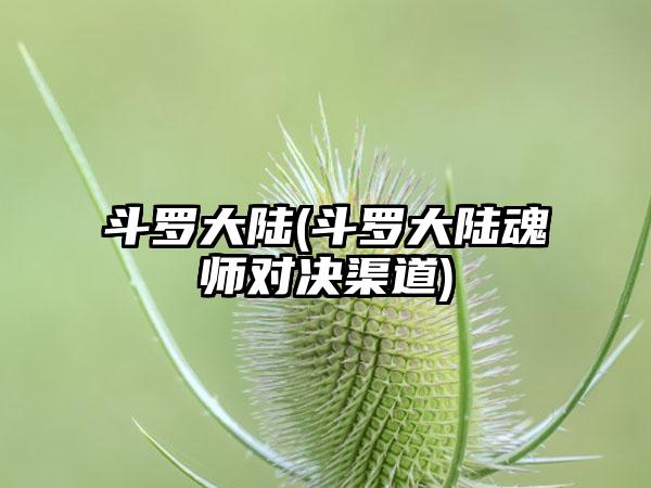 斗罗大陆(斗罗大陆魂师对决渠道)