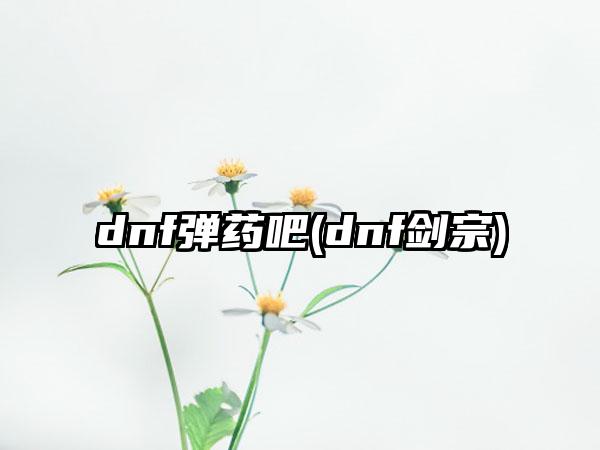 dnf弹药吧(dnf剑宗)