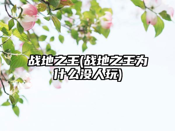 战地之王(战地之王为什么没人玩)