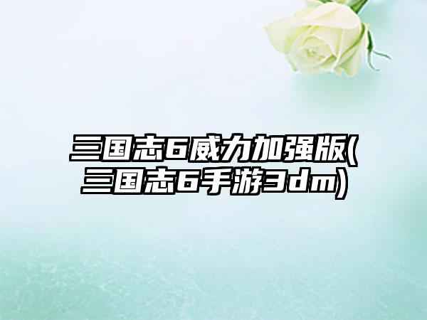 三国志6威力加强版(三国志6手游3dm)