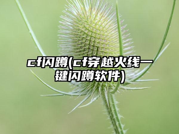 cf闪蹲(cf穿越火线一键闪蹲软件)