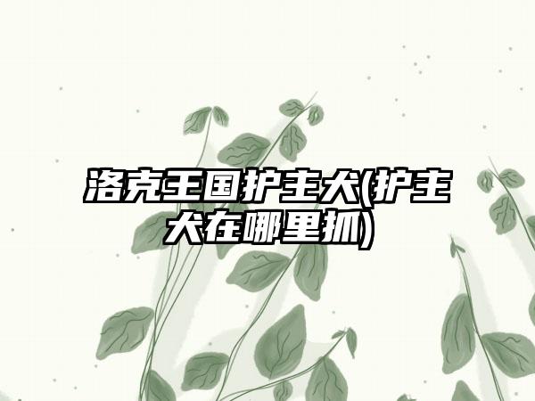 洛克王国护主犬(护主犬在哪里抓)