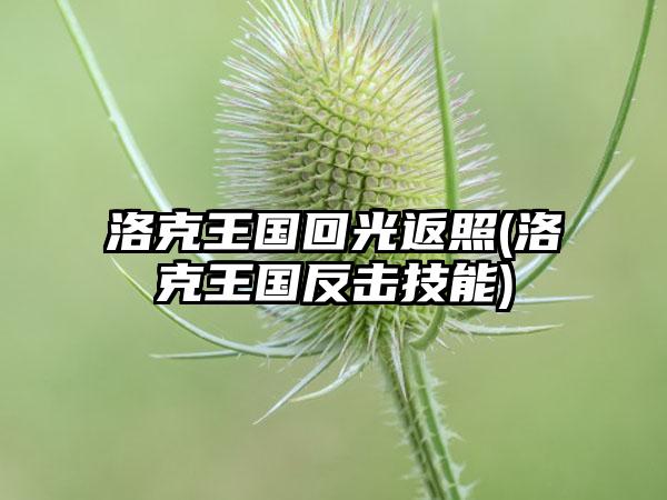 洛克王国回光返照(洛克王国反击技能)