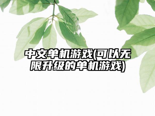 中文单机游戏(可以无限升级的单机游戏)