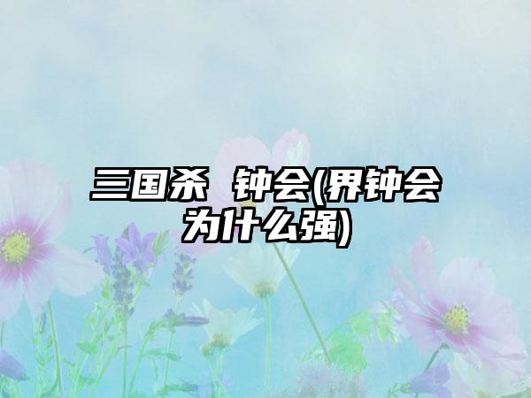 三国杀 钟会(界钟会为什么强)