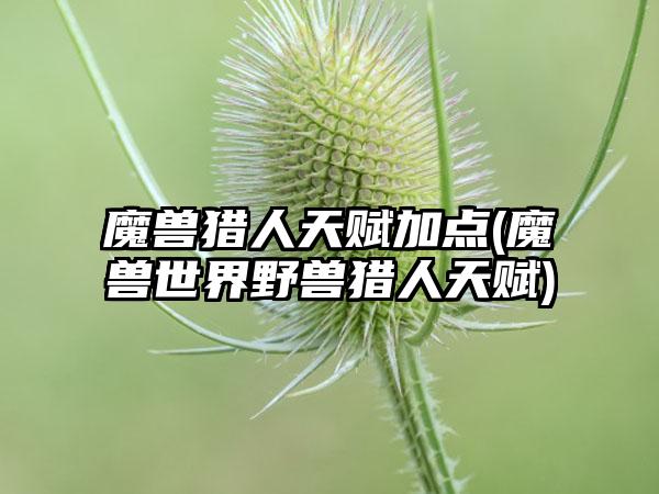 魔兽猎人天赋加点(魔兽世界野兽猎人天赋)