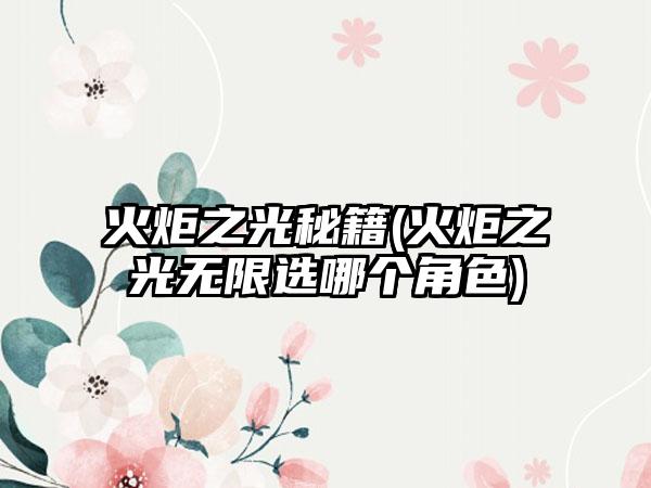 火炬之光秘籍(火炬之光无限选哪个角色)