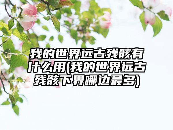 我的世界远古残骸有什么用(我的世界远古残骸下界哪边最多)