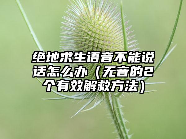 绝地求生语音不能说话怎么办（无音的2个有效解救方法）