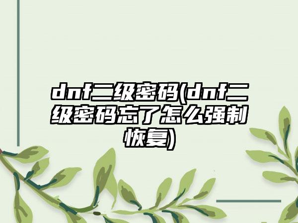 dnf二级密码(dnf二级密码忘了怎么强制恢复)
