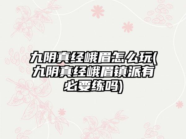 九阴真经峨眉怎么玩(九阴真经峨眉镇派有必要练吗)