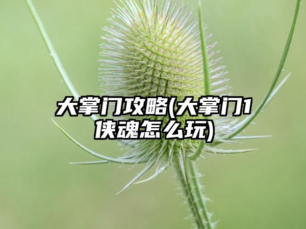 大掌门攻略(大掌门1侠魂怎么玩)