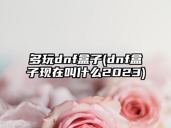 多玩dnf盒子(dnf盒子现在叫什么2023)