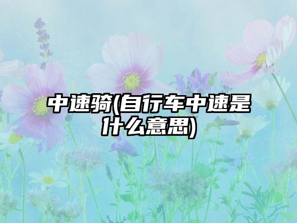 中速骑(自行车中速是什么意思)