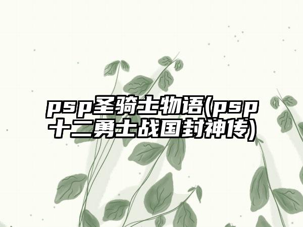 psp圣骑士物语(psp十二勇士战国封神传)