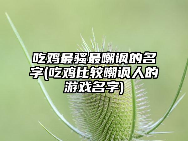 吃鸡最骚最嘲讽的名字(吃鸡比较嘲讽人的游戏名字)