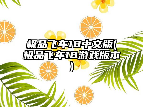 极品飞车18中文版(极品飞车18游戏版本)