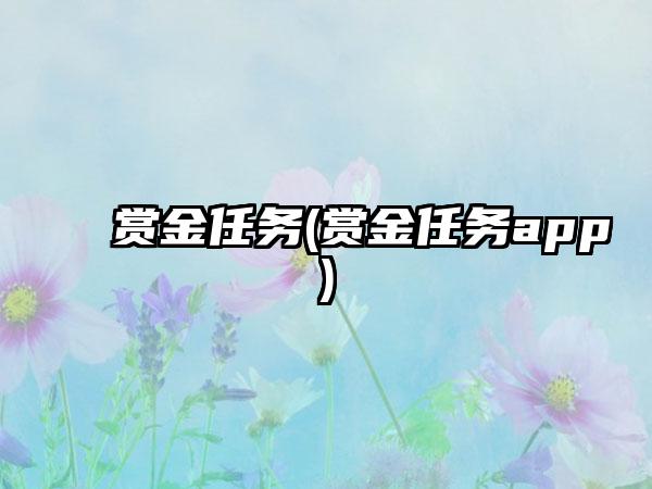 赏金任务(赏金任务app)